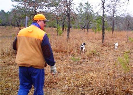 One of the things I love to do when it isn t skeet season is hunt quail. It brings back memories of my youth and hunting quail with my Dad. He was a big time quail hunter.