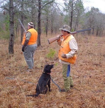 One nice thing about hunting quail at Thornhill s is you know you are going to get ample shooting opportunities. You decide how many of those you want and Wayne and his father Conn will arrange it.