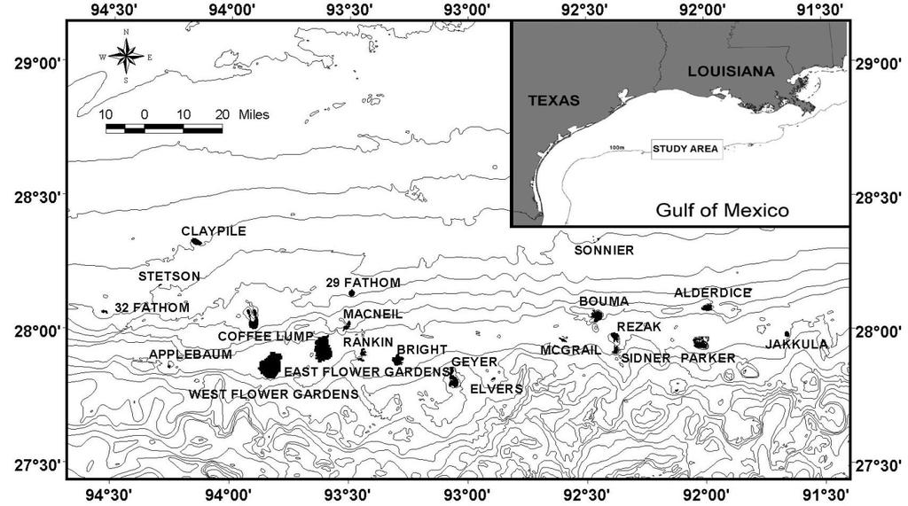 2.1 Northwestern Gulf of Mexico Sanctuary Setting The Flower Garden and Stetson Banks are only three among dozens of reefs and banks scattered along the edge of the continental shelf of the
