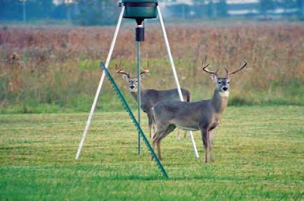 .. 9 Steps for Managing Urban Deer Populations... 9 Step 1: Form a Deer Management Action Committee... 10 Step 2: Determine the scope of the problem.