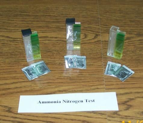 II. Ammonia Nitrogen (15 minutes for all three) Low Range Test 2. Fill one test cube to the mark with deionized water (the blank) and two test cubes to the mark with the water sample. 3.