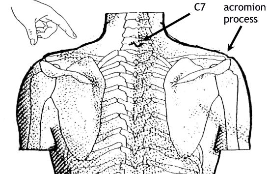 Pain relief during childbirth Jianjing GB-21 When you draw an imaginary line between the bony prominence of the neck (C7), and the top of the shoulder joint (the acromion process), this point lies
