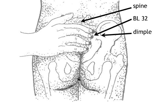 Ciliao BL-32 This acupressure point lies midway between the dimples above the buttocks and the lumbar spine (please note that Ciliao BL-32 is not the dimple).