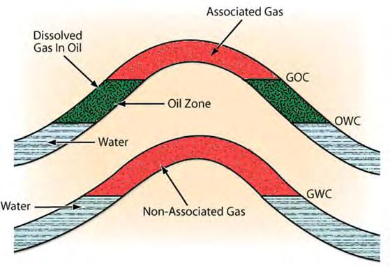 Oil & Gas Types Legal Source Learning Objectives Describe how oils and gases can be categorized based on chemical