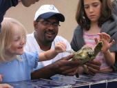 The center is open to the public providing information about the turtles, their habitat & diminishing nesting grounds. Petting pools, talks, boat trips, and more will Under Water Laugh!