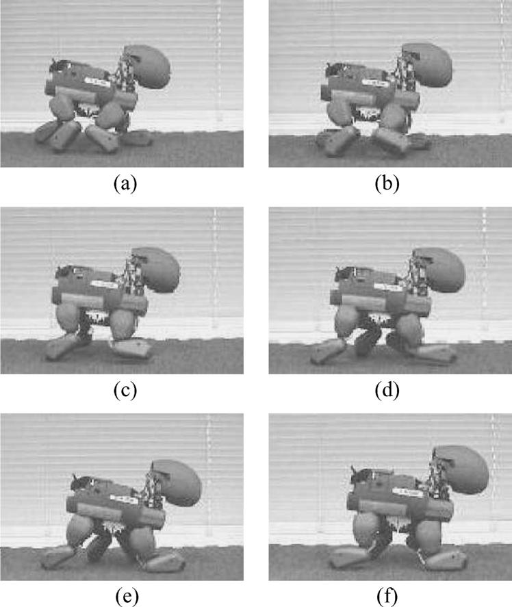 HORNBY et al.: AUTONOMOUS EVOLUTION OF DYNAMIC GAITS WITH TWO QUADRUPED ROBOTS 407 Fig. 5. Sequence of images showing the best evolved trot gait.