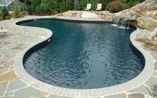 coordinate your pool s appearance with your backyard landscape.