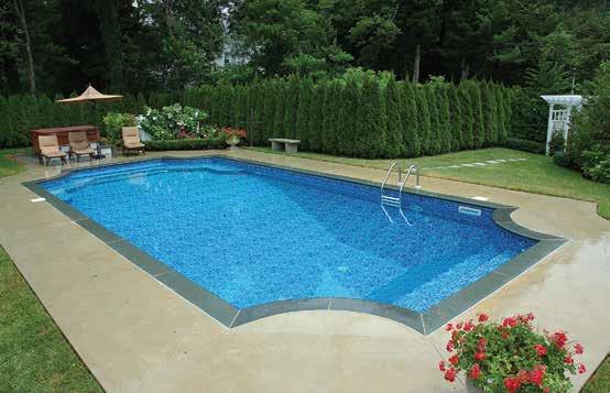 manufacturer of steel wall pool systems and components and is an established leader in the industry.