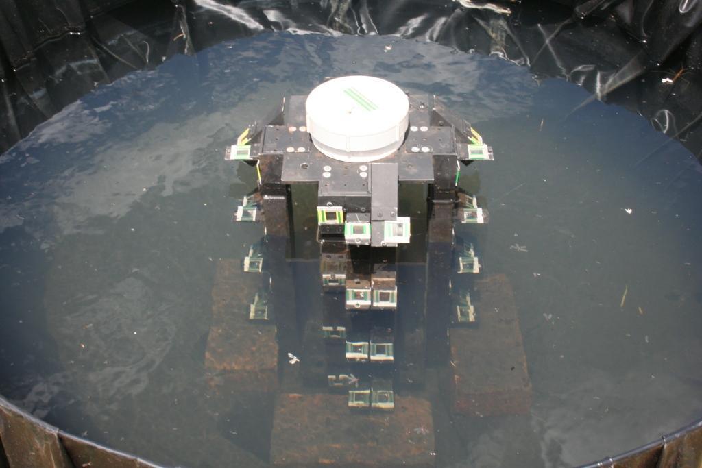 Methods PPO dosimeters were calibrated underwater in seawater against a calibrated CCD spectrometer Provides an exposure