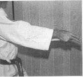 Holding Positions The knife can be held like this and concealed almost completely by using one or two