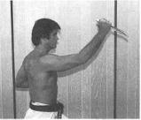Basic Stance The overhead stab: the knife is held with the blade pointing up