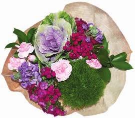 Go Green Day Petite Pack 12 10 stems 2 Dianthus 2 Kale 2 Mini Carnation 2 Ruscus