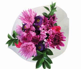 Pom 2 Pom Pon 2 Carnation/Mini Carnation 3 Ruscus Flowers and/or