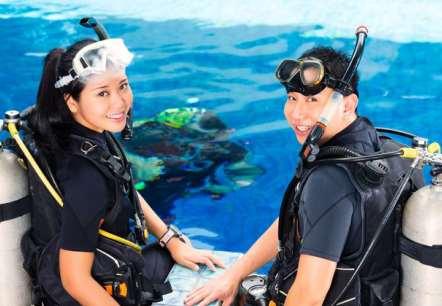 interested in scuba diving, this is the perfect summer activity for