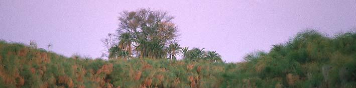 Okavango (Angola),