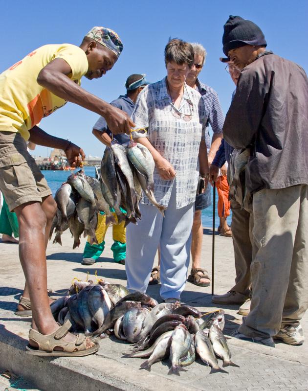 Implementation Process Implementation in four steps: 1. Preparatory Phase 2. Recognition of small-scale fishers per smallscale fishing community 3.