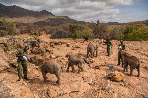 The Reteti Elephant Sanctuary, is the representation of the community standing up united for wildlife, in recognition of the value that they can cultivate.