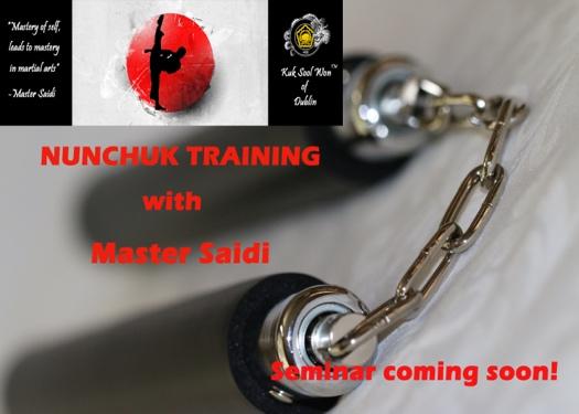 Testing Master Seyd Saidi Promotion May 14 July 11-15 Spring into Action The journey of each martial artist