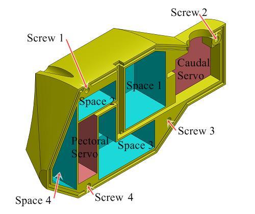 6 shows the mechanical configuration of the robotic prototype. In this configuration, there are four different space placed on the body of robotic fish.