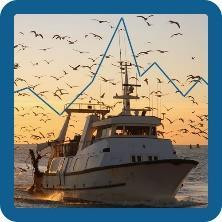 solutions for management decisions on cod and redfish in the Flemish Cap. In 215, EU fleets provided almost a third of the world swordfish supply.