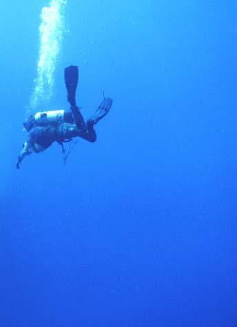 Example of Underwater