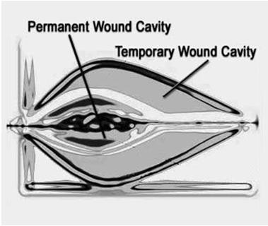 dealing with the impact of projectiles on target Permanent Cavity Temporary