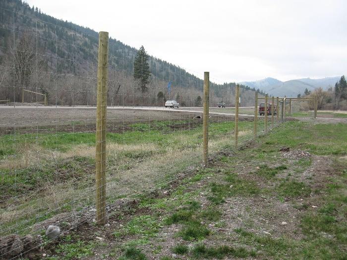 Fig. 1. A 2.4 m (8 ft) high large-mammal fence, with smaller mesh sizes toward the bottom, on U.S. Highway 93 on the Flathead Reservation, Montana, USA (copyright: Marcel Huijser).
