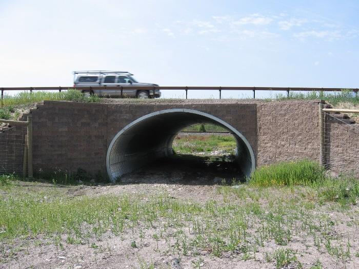 Fig. 2. A large-mammal underpass (7 8 m (23 26.2 ft) wide, 4 5 m (13.1 16.4 ft) high) along U.S. Highway 93 on the Flathead Reservation, Montana, USA (copyright: Marcel Huijser).