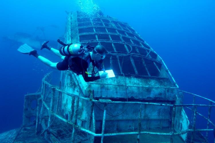 Florida s Artificial Reef Monitoring Efforts Prepared by Keith Mille March 14, 2016 Dive assessment of the Oriskany Reef,