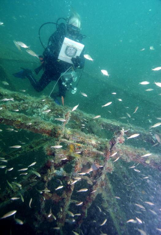 Monitoring Goals Spot check performance of artificial reefs Look at physical
