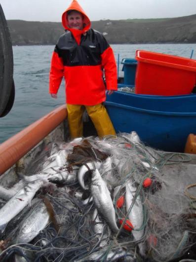 Challenges Bycatch of