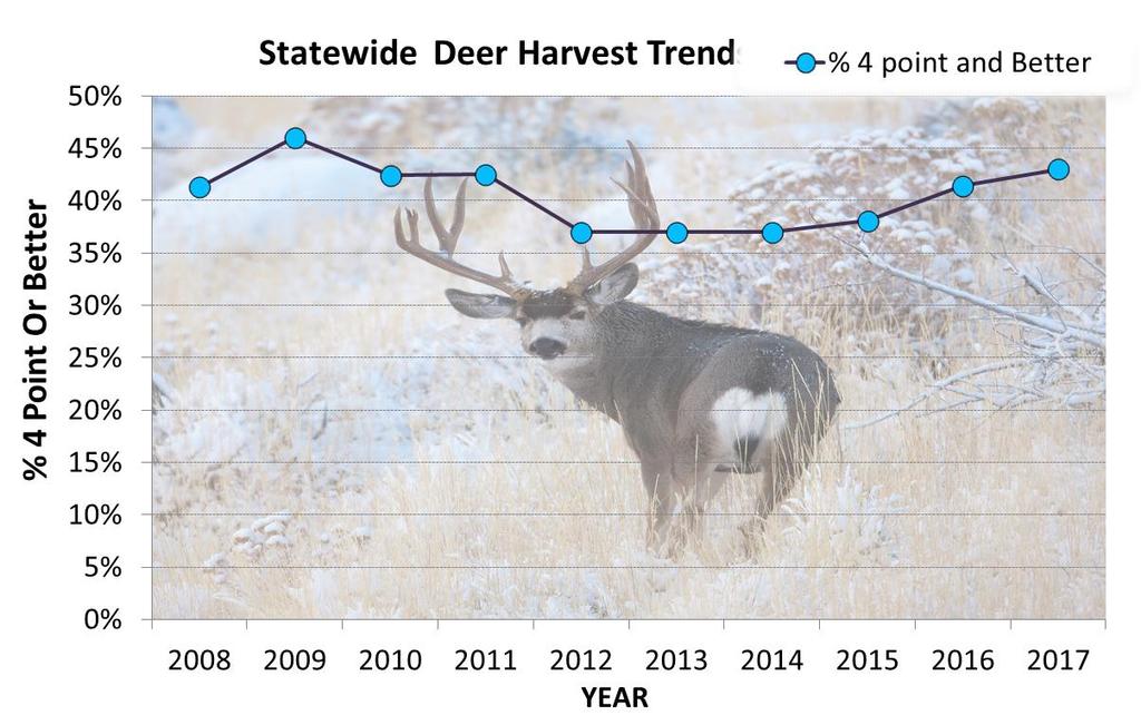 Observed buck ratios are obtained by directed search helicopter