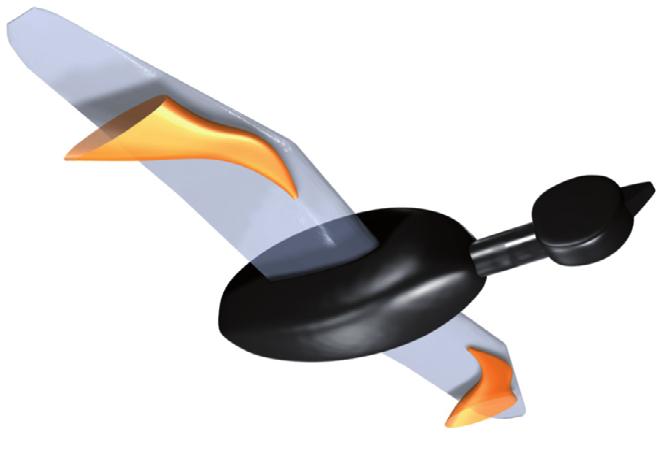 General introduction A B Fig. 1.12: Leading-edge vortices on the wings of a robotic goose. 3D drawing, based on 2D flow measurements normal to the spanwise axis.