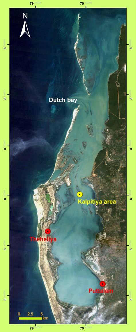 Lagoon (Marsh et al. 2002; pers.obs.). The Dugong visits the sea grass beds in the nearshore areas of Kalpitiya, while fishermen have also observed this species in the Kalpitiya Lagoon area.