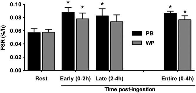 FIGURE 3 FSR of the vastus lateralis in young adults during the postexercise recovery period following ingestion of the PB or WP 1 h after completion of RE.