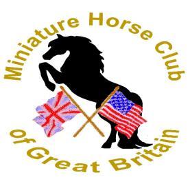 MHG Dressage Tests 201 Season Date of show lass Number ompetitor Number 3rd June 201 59 - Novice 1 X Marker M F F K Transition to Medium Walk K X M H E K K F Transition to Medium Walk F Transition to
