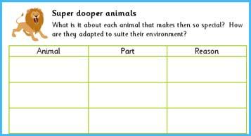 way. Look back at your Super dooper animals chart to help you. You will need to design a head, body and legs for your animal.