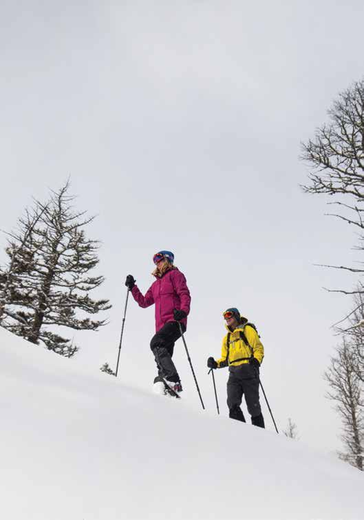 8 Backcountry snowshoeing