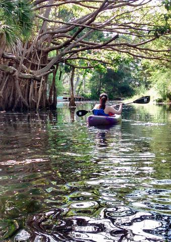 Canoeing on the Imperial River in Bonita Springs Two articles in Naples daily News Hidden Gems: Calusa Ghost Tours take visitors