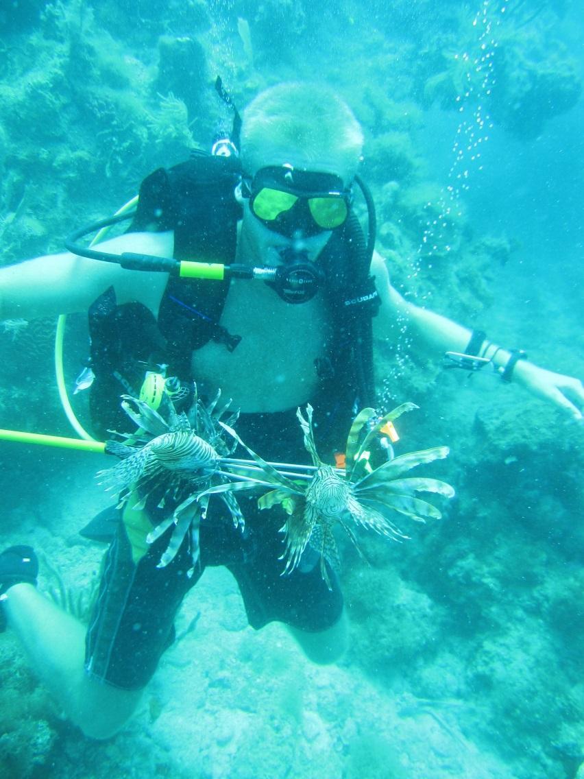 DRTO: Hot Spots Identified Large groups of lionfish were found on high relief coral
