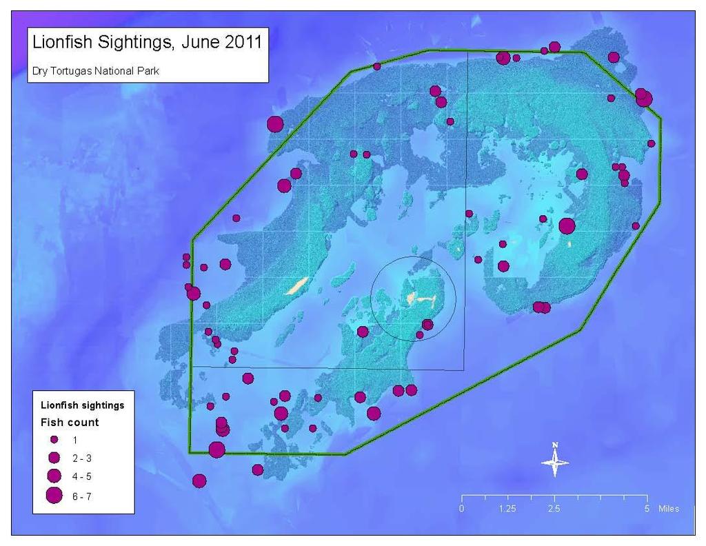 Reef Visual Census June
