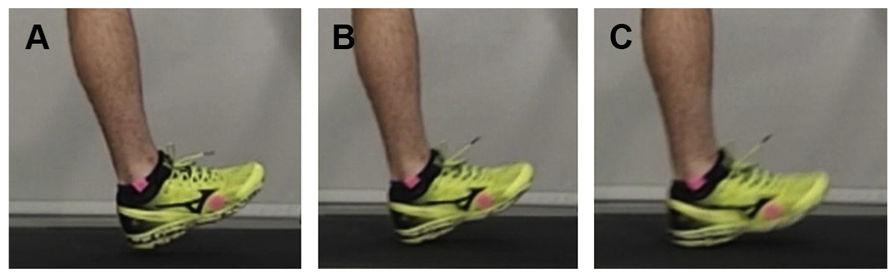 Souza Page 16 Fig. 1. Key phases of running. (A) The end of terminal swing is identified as to the foot remains elevated from the treadmill, just before initial contact.