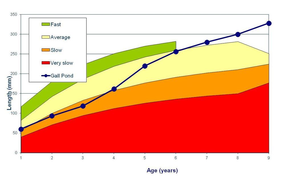 Graph 1: Growth rate of roach from The Gall Pond, compared to the standard