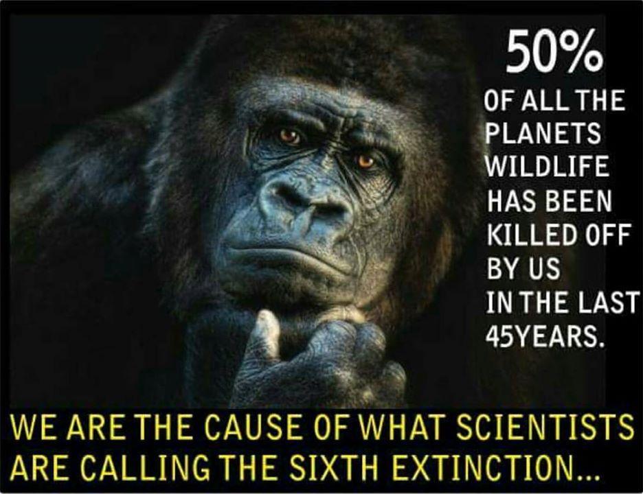 Human Causes of Extinction Today, most extinction and extirpation is caused by human