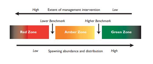 Salmon Policy Lower Benchmark Upper Benchmark Low Spawning abundance High and/or