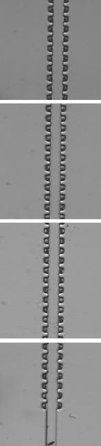 Since the connecting tubes are large compared to the microfluidic channel, the head losses due to these tubes are negligible.