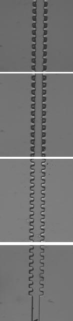 4 Microscopic photographs of (a) deep cavity with 60µm gap size (4x) and (b) shallow cavity with 30µm gap size (10x). Liquid layer is surrounded by air pockets formed in the trenches.