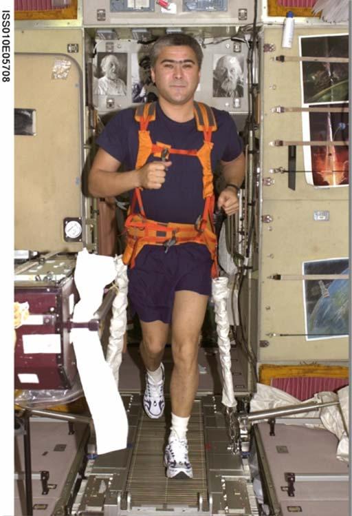 Microgravity-induced cardiovascular changes Cardiovascular changes (Central Fluid Shifts) and