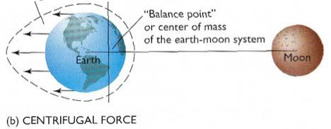 The centrifugal force due to the spinning of the System