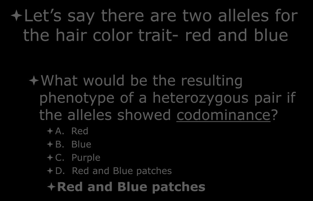 Let s Stop and Think Let s say there are two alleles for the hair color trait- red and blue What would be the resulting